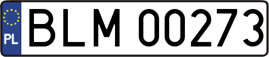 BLM00273