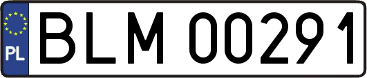 BLM00291