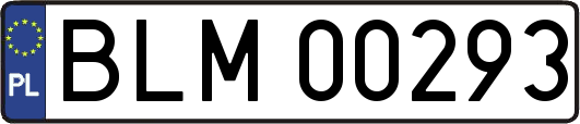 BLM00293