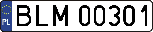 BLM00301