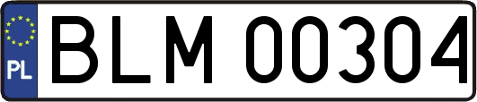 BLM00304