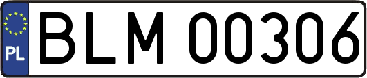 BLM00306