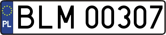 BLM00307