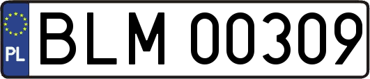 BLM00309