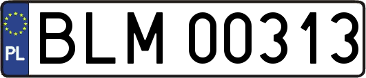 BLM00313