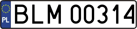 BLM00314