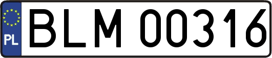 BLM00316