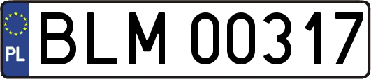 BLM00317