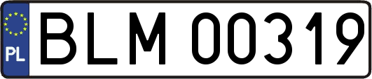 BLM00319