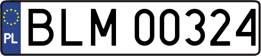 BLM00324
