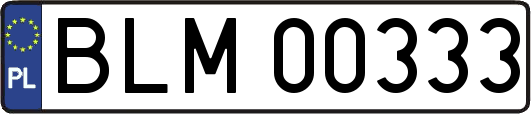 BLM00333