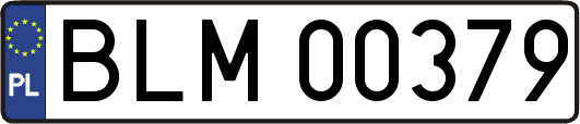 BLM00379
