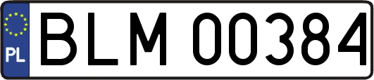 BLM00384