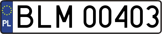 BLM00403