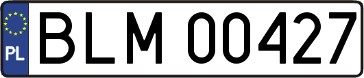 BLM00427