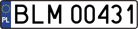 BLM00431