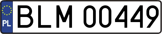 BLM00449