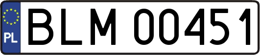 BLM00451