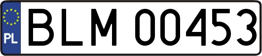 BLM00453