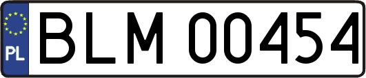 BLM00454