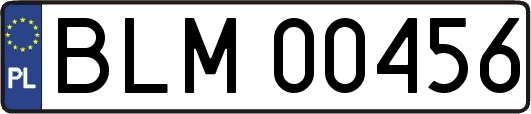 BLM00456