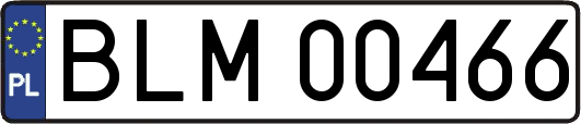BLM00466