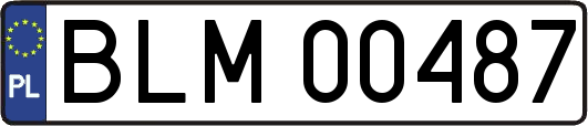 BLM00487
