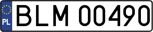 BLM00490