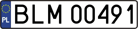 BLM00491