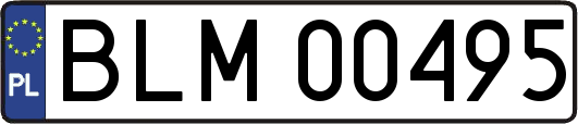 BLM00495