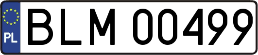 BLM00499