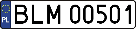 BLM00501
