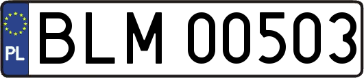 BLM00503