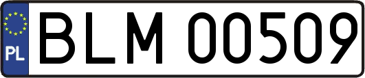 BLM00509