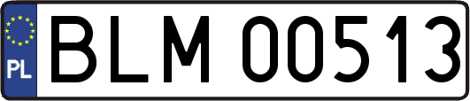 BLM00513