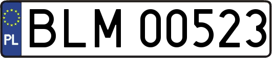 BLM00523