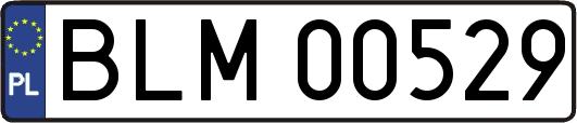 BLM00529