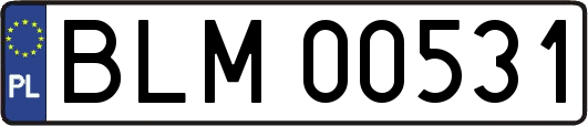 BLM00531