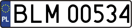BLM00534