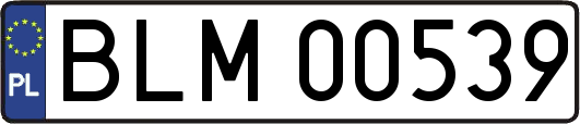 BLM00539