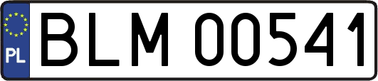BLM00541