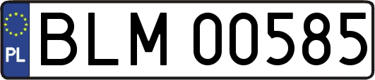 BLM00585