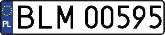 BLM00595