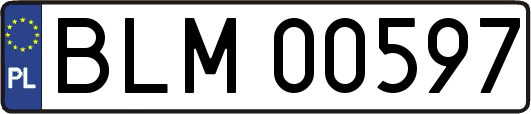 BLM00597