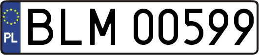 BLM00599