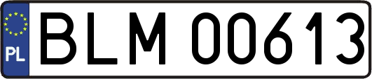 BLM00613