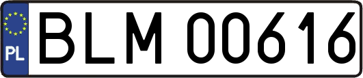 BLM00616