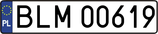 BLM00619