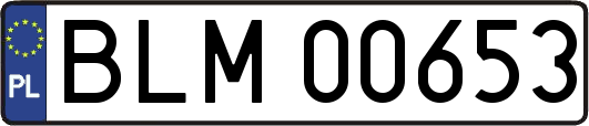 BLM00653