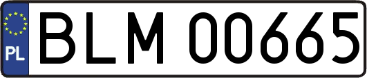BLM00665